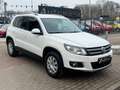 Volkswagen Tiguan 2.0TDI Life BMT*Xen*Temp*Kam*AHK*Webasto Weiß - thumbnail 3