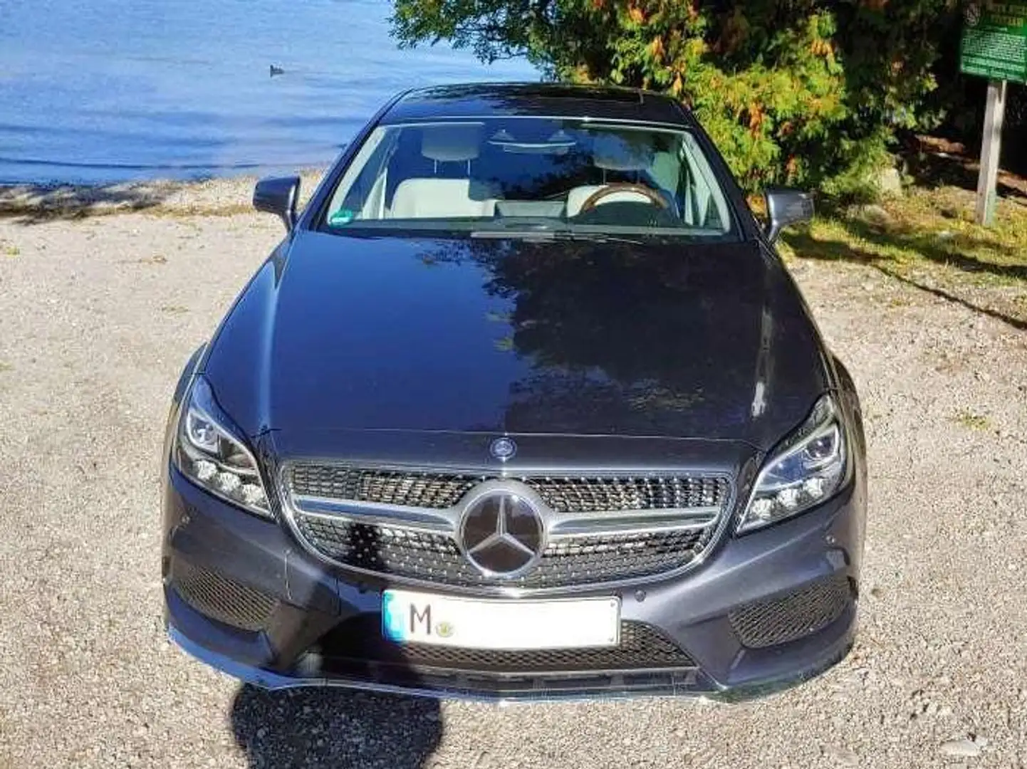 Mercedes-Benz CLS 350 CLS 350 BlueTEC 4Matic 7G-TRONIC - 1