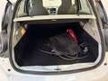 Renault ZOE SOCIETE LOCATION Zen R90 Blanc - thumbnail 13