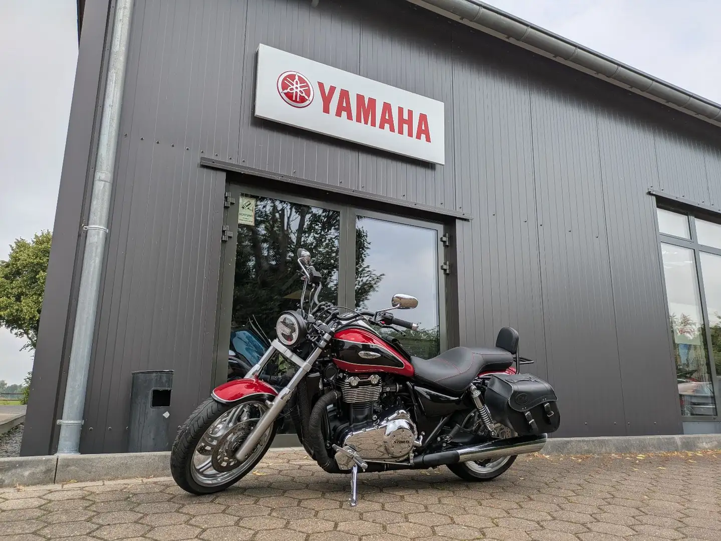 Triumph Thunderbird Negro - 1