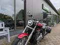 Triumph Thunderbird Negro - thumbnail 12