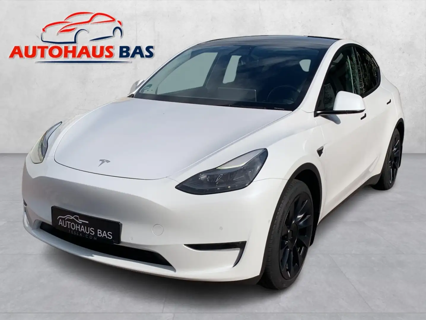 Tesla Model Y Long Range AWD * Matrix LED * 20 Zoll Wit - 1