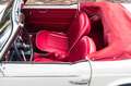 Triumph TR4 A IRS Blanco - thumbnail 24