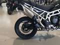 Triumph Tiger 900 TIGER 900 RALLY PRO Vert - thumbnail 9