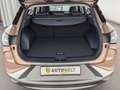 Hyundai NEXO Nexo LED+NAVI+ACC+360+SHZ+LEDER+ Gold - thumbnail 11