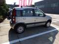 Fiat Panda 4x4 1.2 Climbing 60cv  UNICO PROPRIETARIO Zilver - thumbnail 4