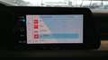 Volkswagen Golf VIII 1.0 ETSI OPF 110 DSG7 LIFE BUSINESS Blanc - thumbnail 26