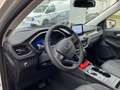 Ford Kuga 2.5 Plug-In Hybrid Vignale Blanc - thumbnail 5