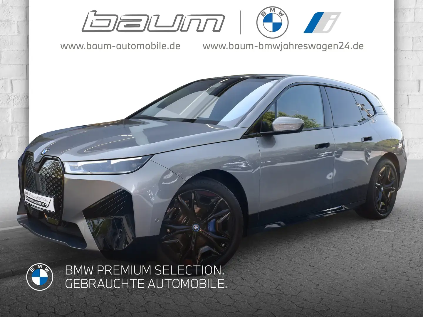 BMW iX xDrive50 Sportpaket HK HiFi DAB Aktivlenkung Gris - 1