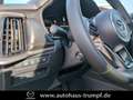 Mazda CX-60 3.3L e-SKYACTIV D 254 PS 8AT AWD Homura COSO Grau - thumbnail 20