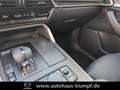 Mazda CX-60 3.3L e-SKYACTIV D 254 PS 8AT AWD Homura COSO Grau - thumbnail 25