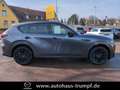 Mazda CX-60 3.3L e-SKYACTIV D 254 PS 8AT AWD Homura COSO Grau - thumbnail 7