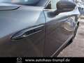 Mazda CX-60 3.3L e-SKYACTIV D 254 PS 8AT AWD Homura COSO Grau - thumbnail 10