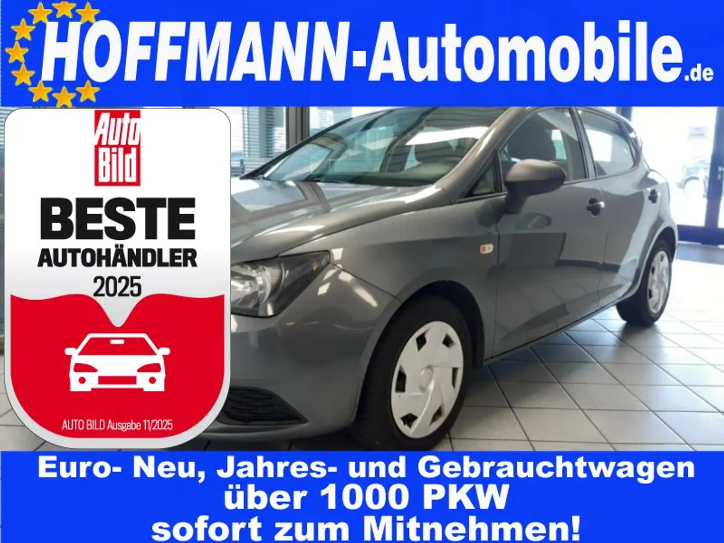 SEAT Ibiza Reference ohne Tüv Grijs - 1