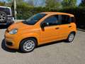 Fiat Panda 1.0 hybrid - NEOPATENTATI - 12 MESI DI GARANZIA - Arancione - thumbnail 4