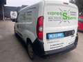 Fiat Doblo Doblo L2H1 1,6 MultiJet 105 Executive Executive Weiß - thumbnail 5