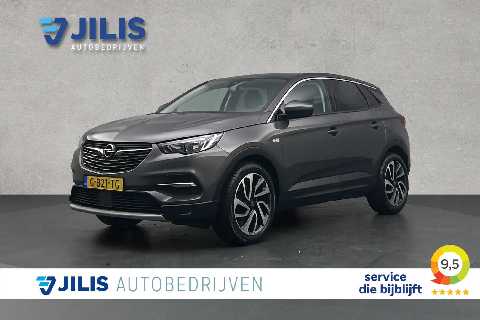 Opel Grandland X 1.2 Turbo Business Executive | Camera | Apple carp Grijs - 1