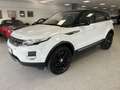 Land Rover Range Rover Evoque 2.2 td4 Dynamic 150cv Blanc - thumbnail 1