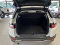Land Rover Range Rover Evoque 2.2 td4 Dynamic 150cv Blanc - thumbnail 8