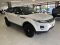 Land Rover Range Rover Evoque 2.2 td4 Dynamic 150cv Blanc - thumbnail 3