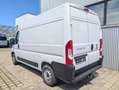 Fiat Ducato Fiat Ducato 3.3to 120PS Klima PDC L2 AHK Kamera Weiß - thumbnail 15