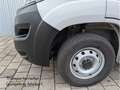 Fiat Ducato Fiat Ducato 3.3to 120PS Klima PDC L2 AHK Kamera Weiß - thumbnail 5