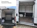 Fiat Ducato Fiat Ducato 3.3to 120PS Klima PDC L2 AHK Kamera Weiß - thumbnail 3