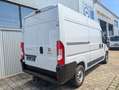 Fiat Ducato Fiat Ducato 3.3to 120PS Klima PDC L2 AHK Kamera Weiß - thumbnail 14