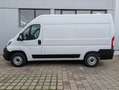 Fiat Ducato Fiat Ducato 3.3to 120PS Klima PDC L2 AHK Kamera Weiß - thumbnail 12