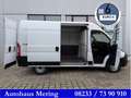 Fiat Ducato Fiat Ducato 3.3to 120PS Klima PDC L2 AHK Kamera Weiß - thumbnail 2