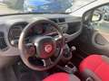 Fiat Panda Panda 1.3 mjt 16v 4x4 75cv E5+ van Bianco - thumbnail 14