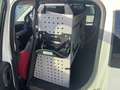 Fiat Panda Panda 1.3 mjt 16v 4x4 75cv E5+ van Bianco - thumbnail 11