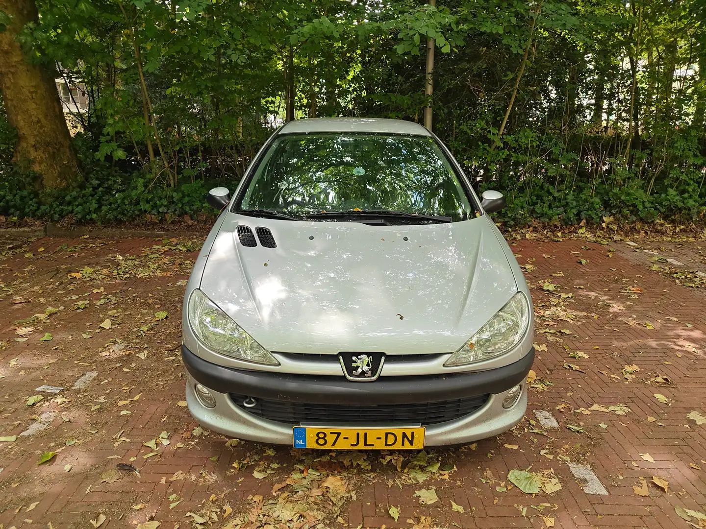 Peugeot 206 206 1.4 XS Premium Zilver - 1