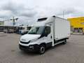 Iveco Daily 35S18 Kühlkoffer Carrier Blanc - thumbnail 2