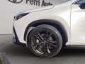Lexus NX 450h+ 2.5 phev premium+ 4wd 309cv e-cvt Weiß - thumbnail 12