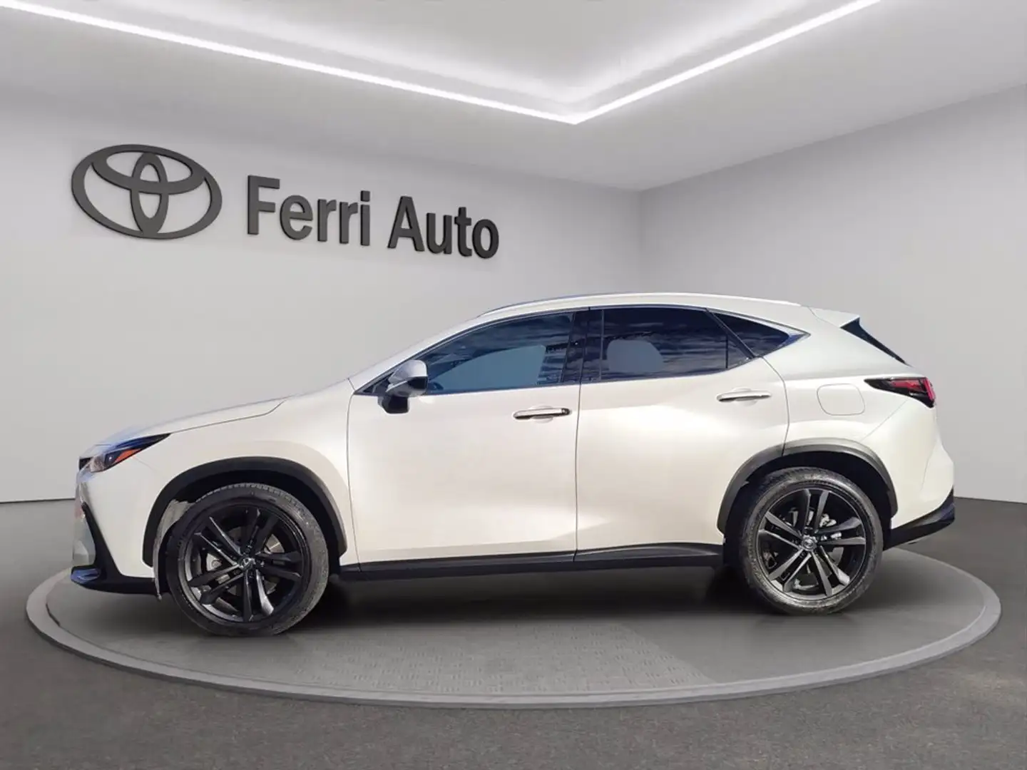 Lexus NX 450h+ 2.5 phev premium+ 4wd 309cv e-cvt Weiß - 2