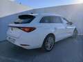 SEAT Leon SP 1.5 TSI 110kW SS Xcellence Go M - thumbnail 4