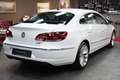 Volkswagen CC 2.0TDI DSG*Bi-XENON*PANO*LEDER*KAMERA* Wit - thumbnail 7