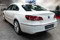 Volkswagen CC 2.0TDI DSG*Bi-XENON*PANO*LEDER*KAMERA* Weiß - thumbnail 9