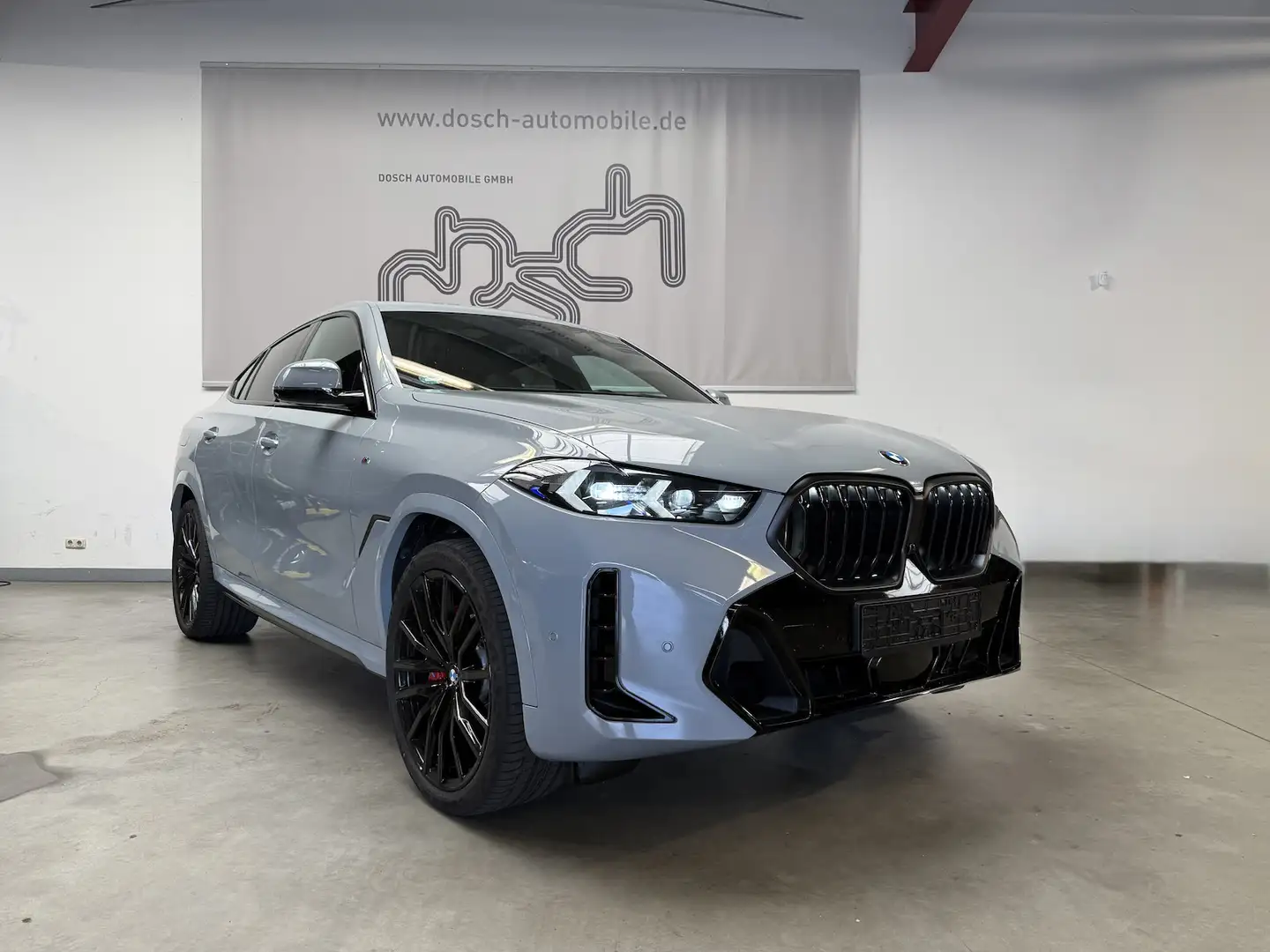 BMW X6 30 d xDr. M Sport/M-Sitz/LUFT/Soft-Close/PANO Gris - 1