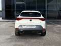 CUPRA Formentor VZ 4Drive 2.0 TSI DSG Full Link ACC Navi Sitzhzg. Weiß - thumbnail 6