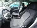 SEAT Ibiza SEAT IBIZA SW 1,6 TDI 105 CV- OK NEOPATENTATI Blu/Azzurro - thumbnail 14
