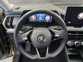 Skoda Kodiaq Selection 2.0 TDI 190 PS 7-Gang-DSG 4x4 Gold - thumbnail 10