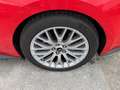 Ford Mustang Convertible GT V8 5,0L COYOTE 420CH BV6 Rot - thumbnail 9