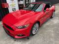 Ford Mustang Convertible GT V8 5,0L COYOTE 420CH BV6 Rouge - thumbnail 2
