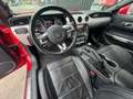 Ford Mustang Convertible GT V8 5,0L COYOTE 420CH BV6 Rouge - thumbnail 11
