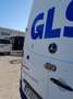 Mercedes-Benz Sprinter 311 F 37/33 IVA ESCLUSA Bianco - thumbnail 5