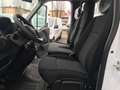 Renault Master 145 DCI , NUOVO - CASSONE FISSO , D. CAB. Blanc - thumbnail 11