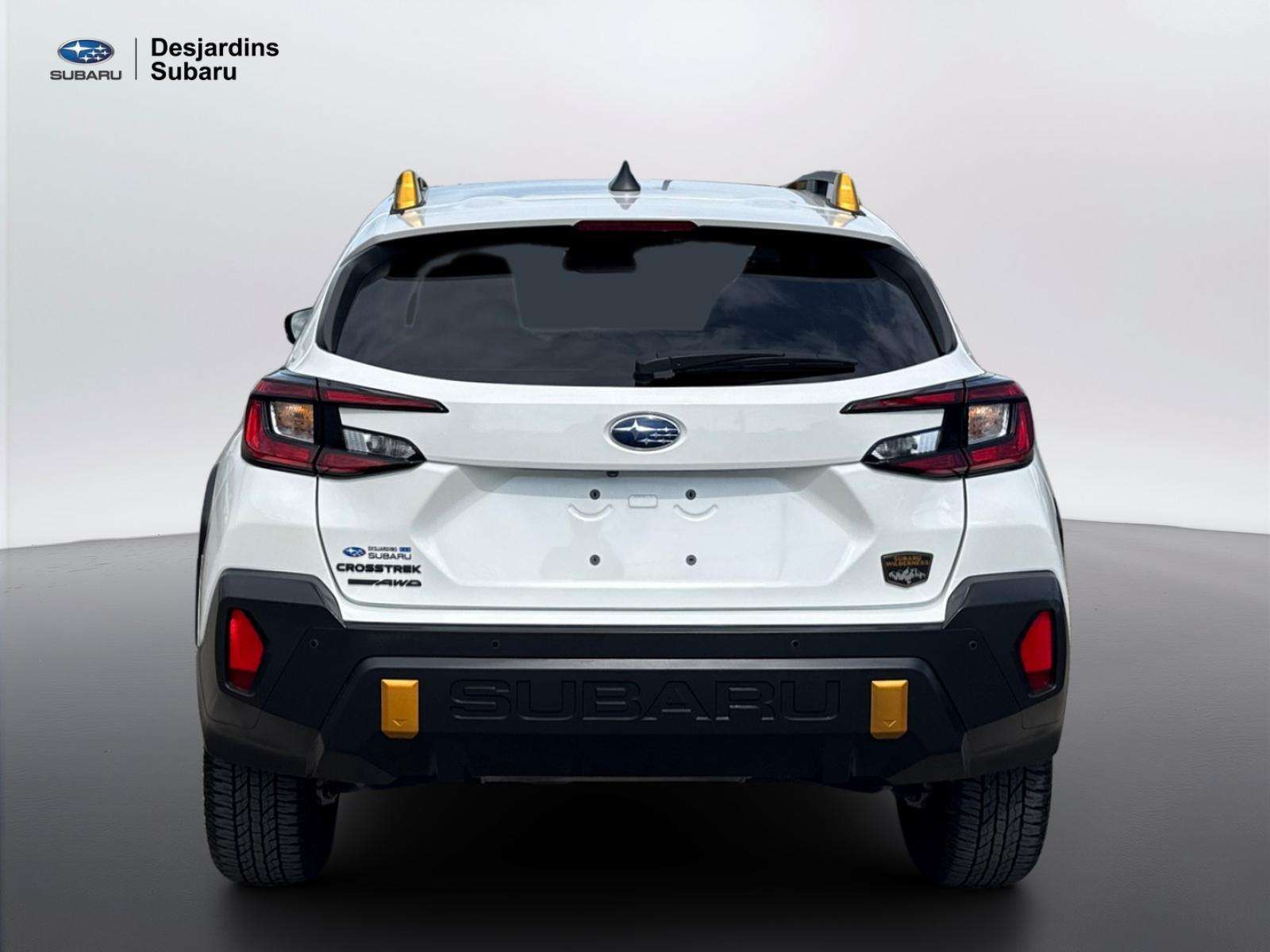 2024 Subaru Crosstrek Wilderness Traction intégrale, Automatique, Moteur — снимка 1