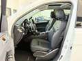 Mercedes-Benz GLE 43 AMG GLE*43*AMG*3xDvD*360°ACC*LED*Night-Paket* Blanc - thumbnail 8